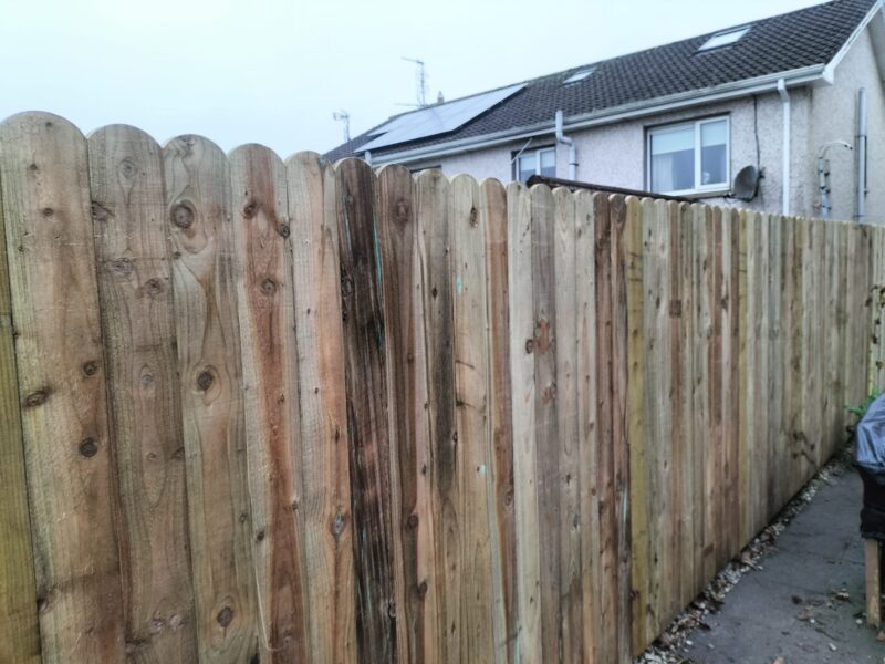 WhatsApp Image 2026 01 20 at 15.30.00 (1)