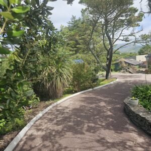 WhatsApp Image 2026 01 20 at 15.30.54 (2)