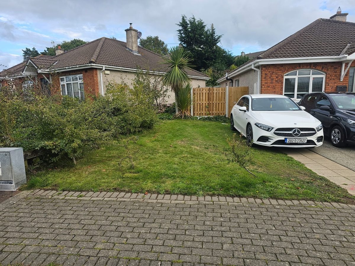 Project 20260122 190822