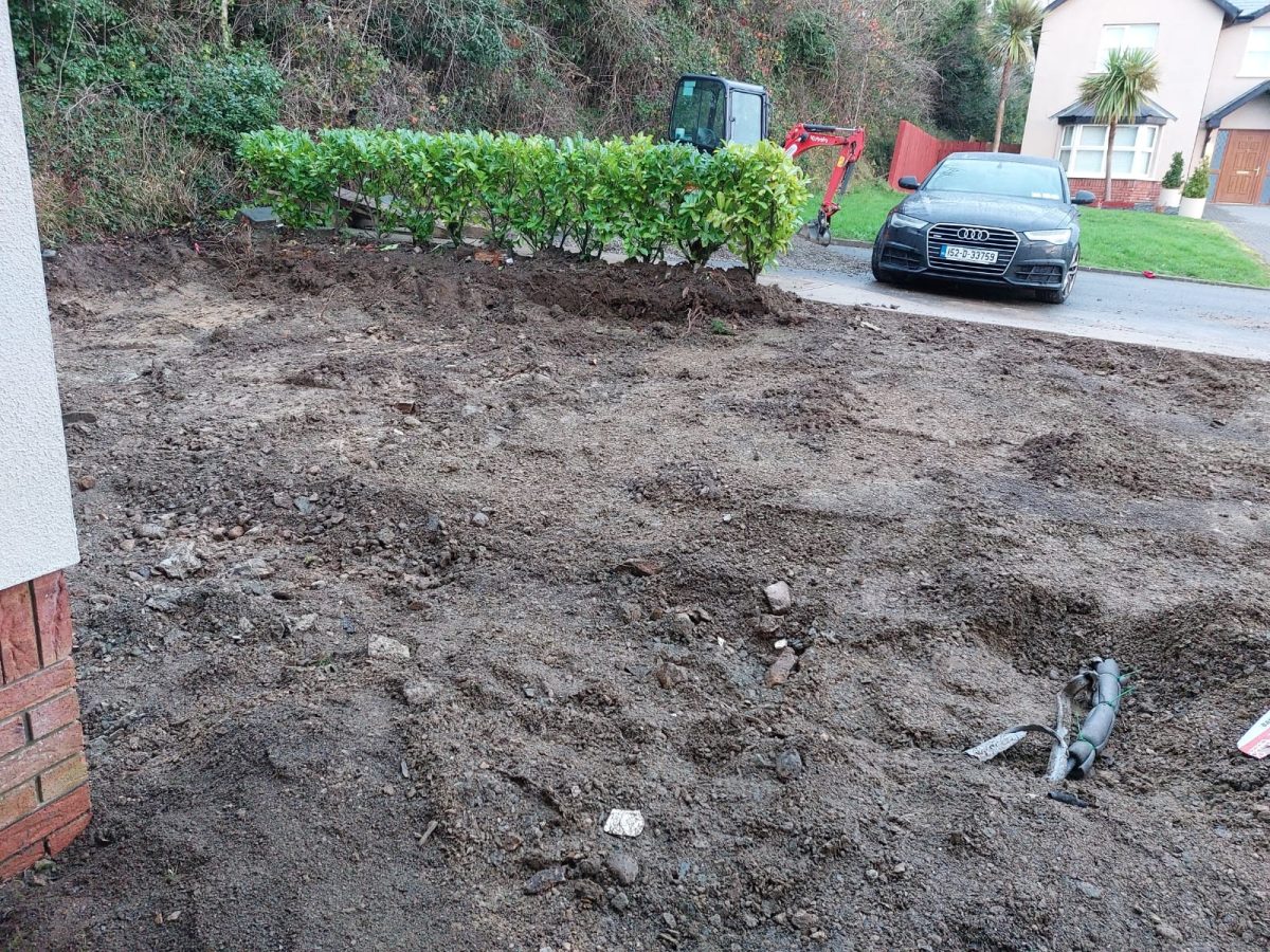 Project 20260122 191229